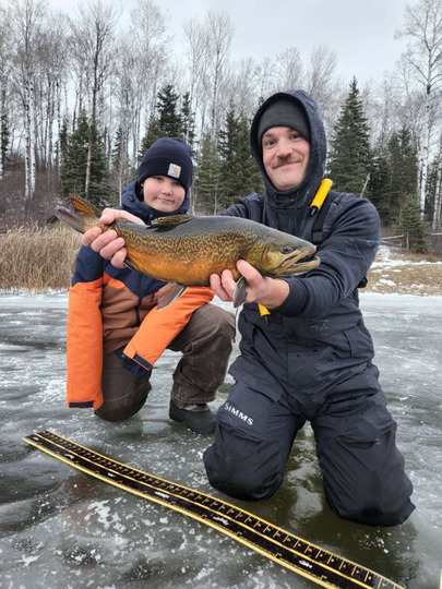 Tiger Trout