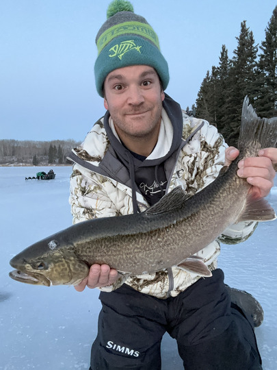 Tiger Trout