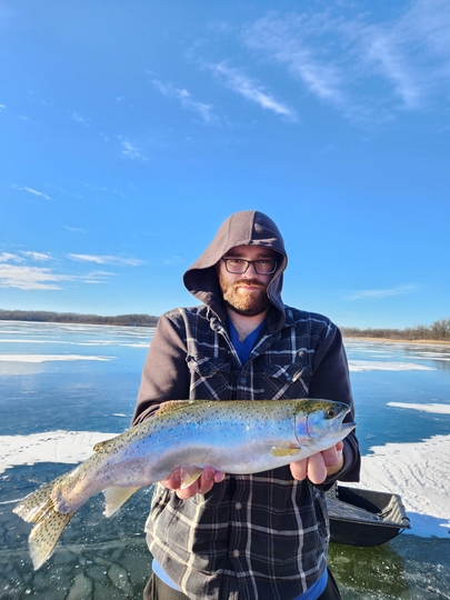 Rainbow Trout