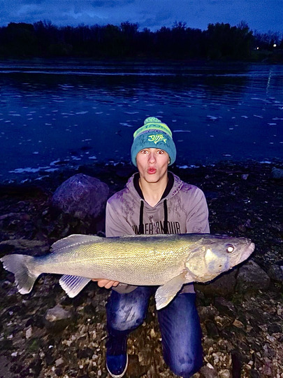 Walleye