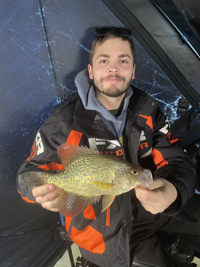 Black Crappie