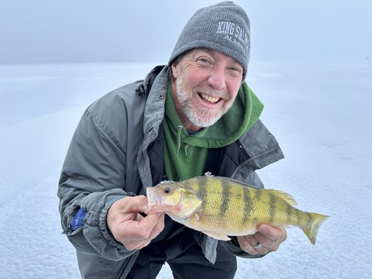 Yellow Perch