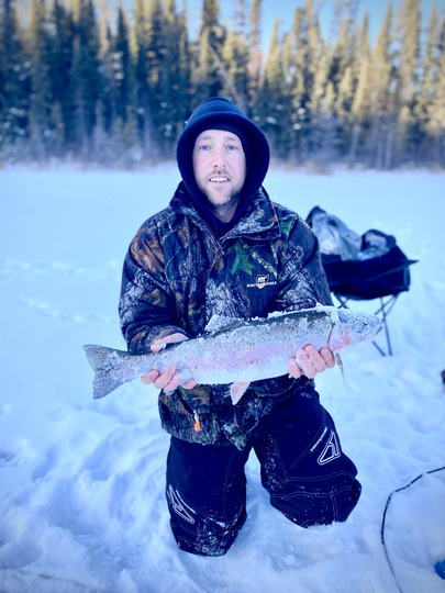 Rainbow Trout