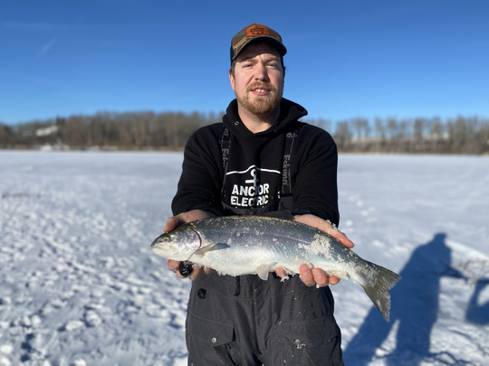 Rainbow Trout