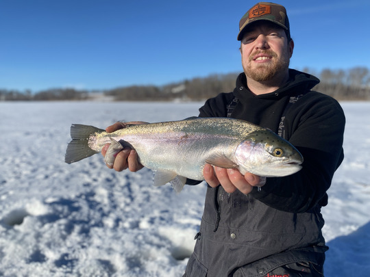 Rainbow Trout