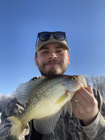 Black Crappie