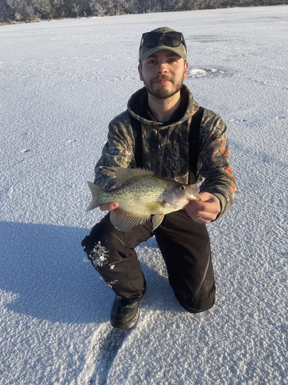 Black Crappie