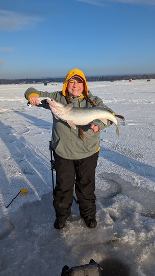 Walleye