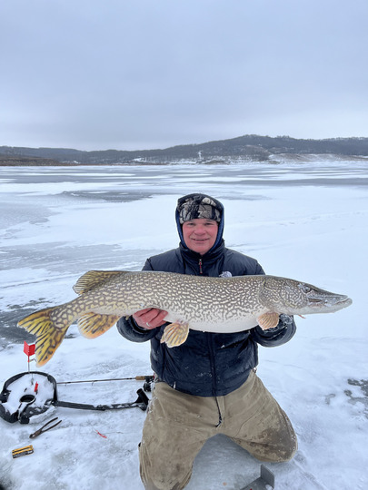 Northern Pike