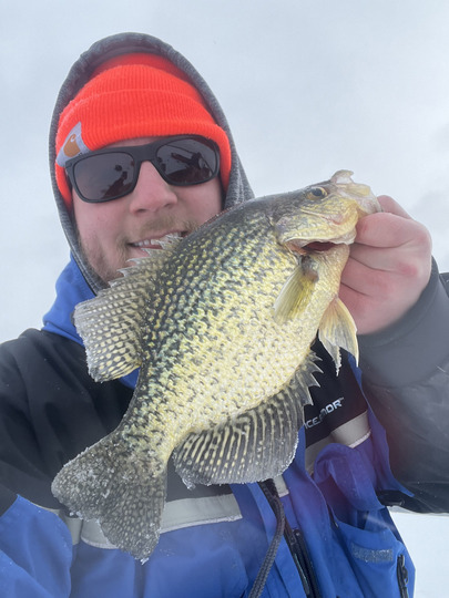 Black Crappie