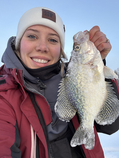 Black Crappie