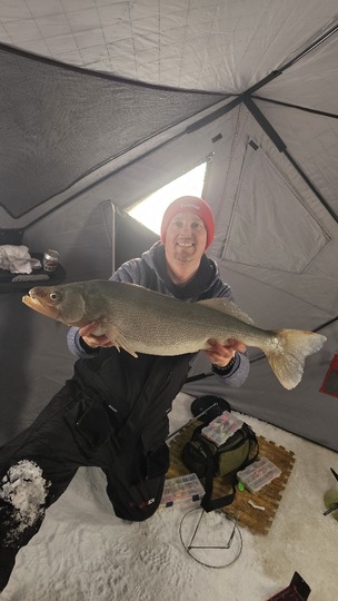 Walleye