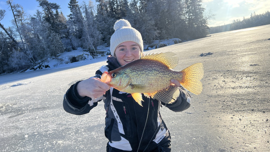 Black Crappie