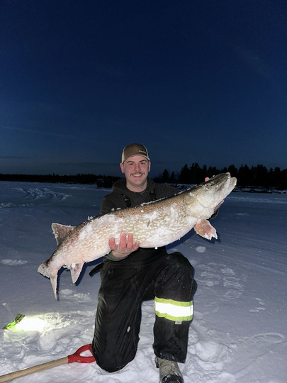 Northern Pike