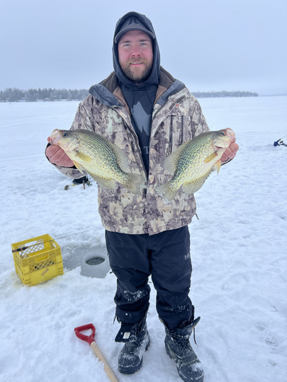 Black Crappie