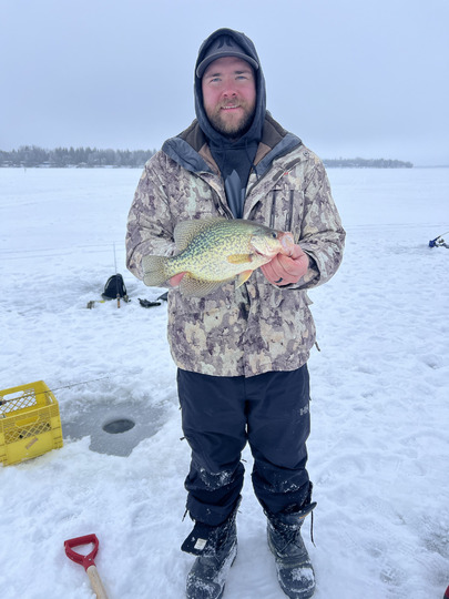 Black Crappie