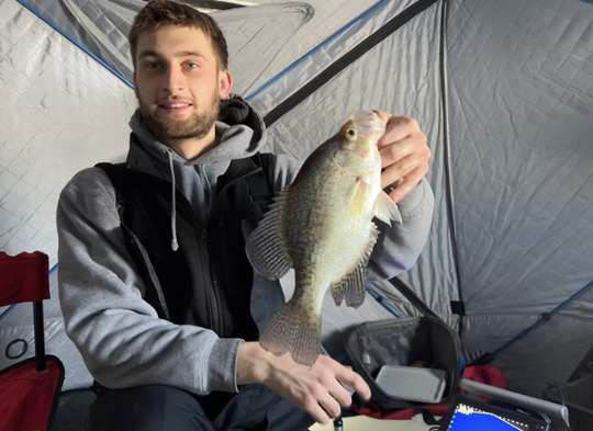 Black Crappie