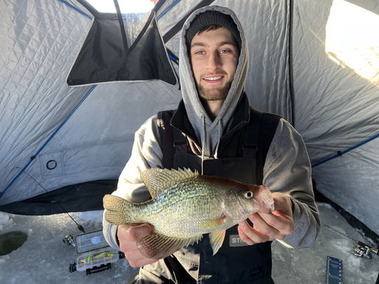 Black Crappie