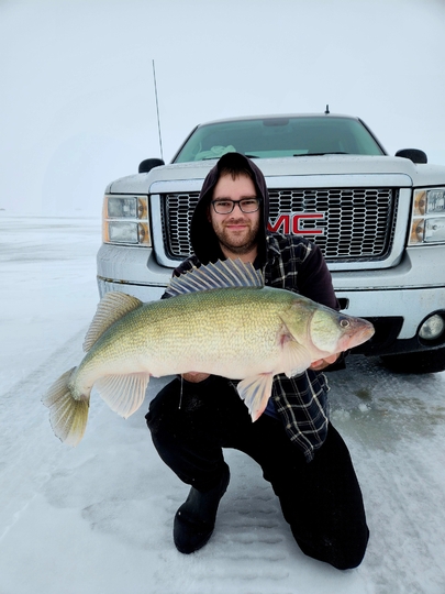 Walleye