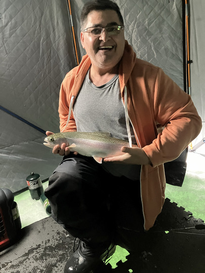 Rainbow Trout