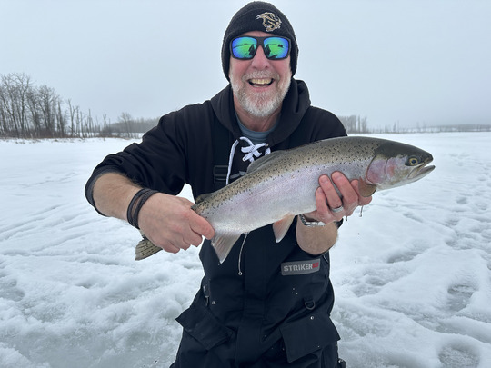 Rainbow Trout