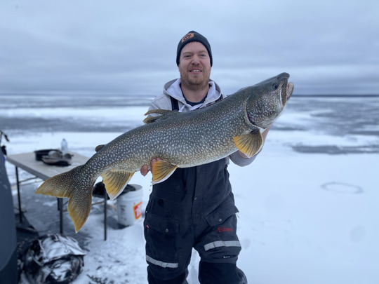 Lake Trout