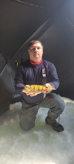 Yellow Perch