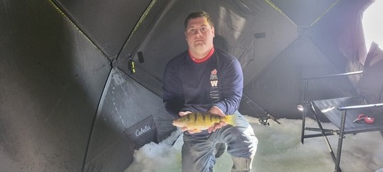 Yellow Perch