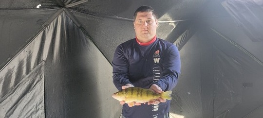 Yellow Perch