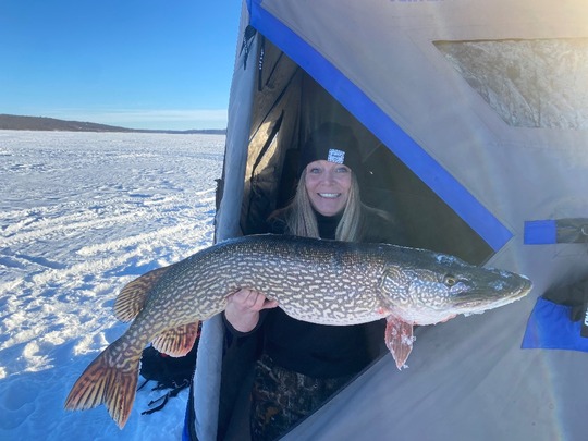 Northern Pike