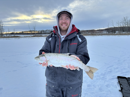 Rainbow Trout