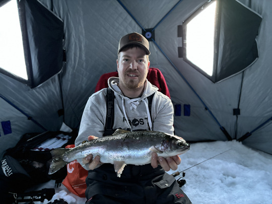 Rainbow Trout