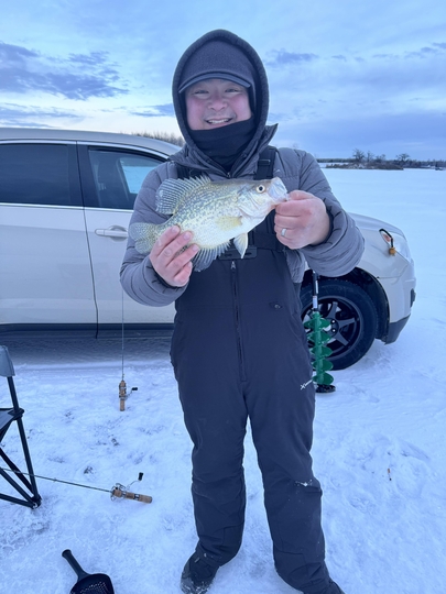 Black Crappie