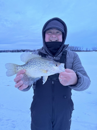 Black Crappie