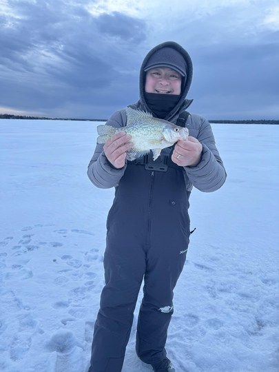 Black Crappie