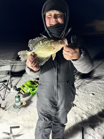 Black Crappie