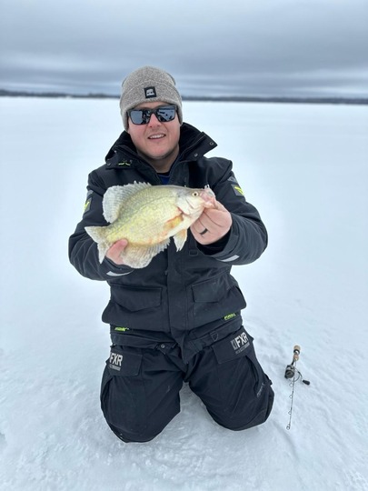 Black Crappie