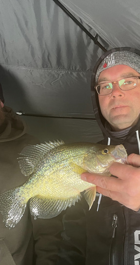 Black Crappie