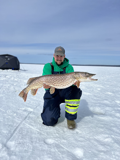 Northern Pike