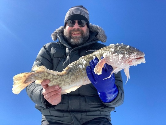 Burbot