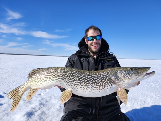 Northern Pike