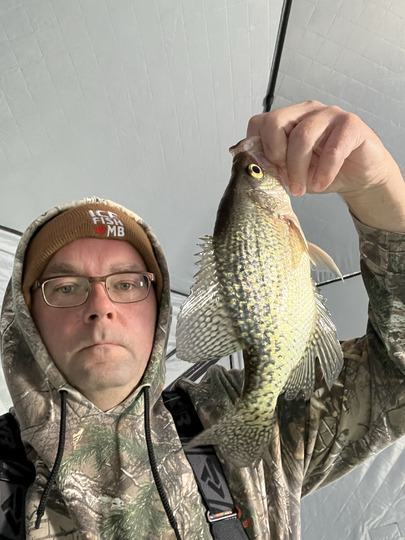 Black Crappie