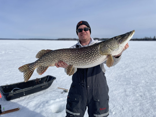 Northern Pike