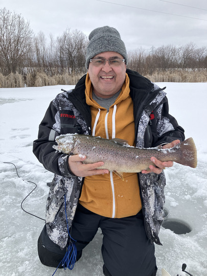 Brown Trout