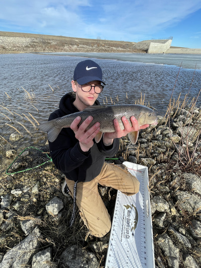 Sucker