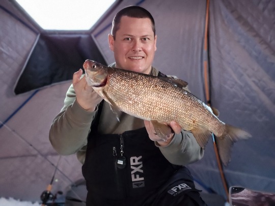 Lake Whitefish