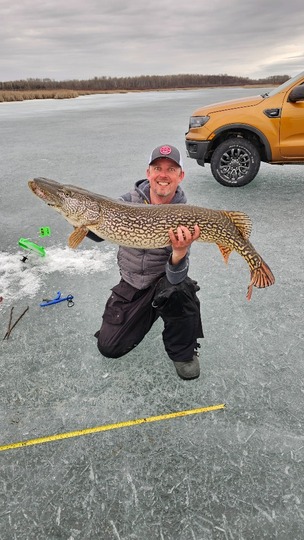 Northern Pike