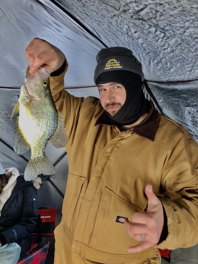 Black Crappie