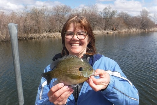 Sunfish