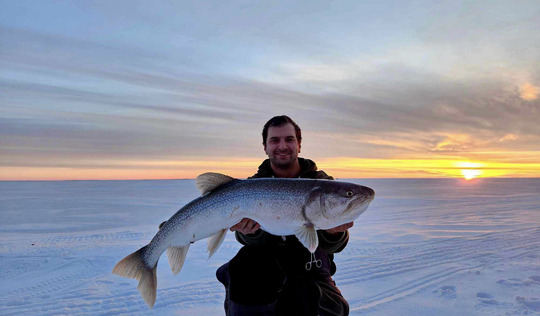 Lake Trout